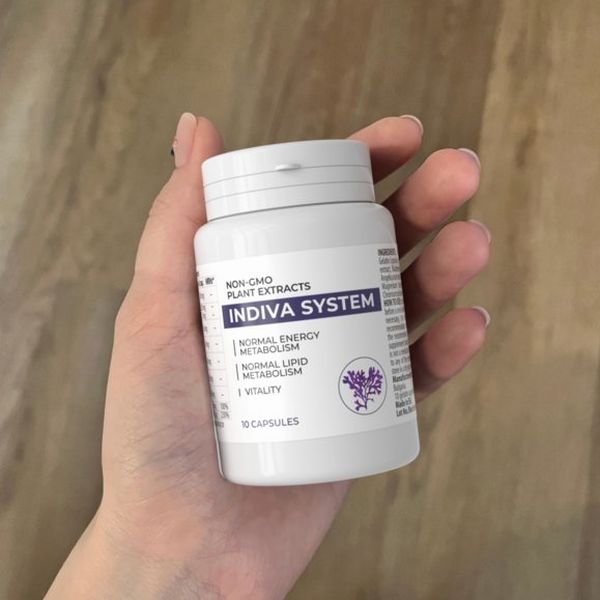 Indiva System — foto 3